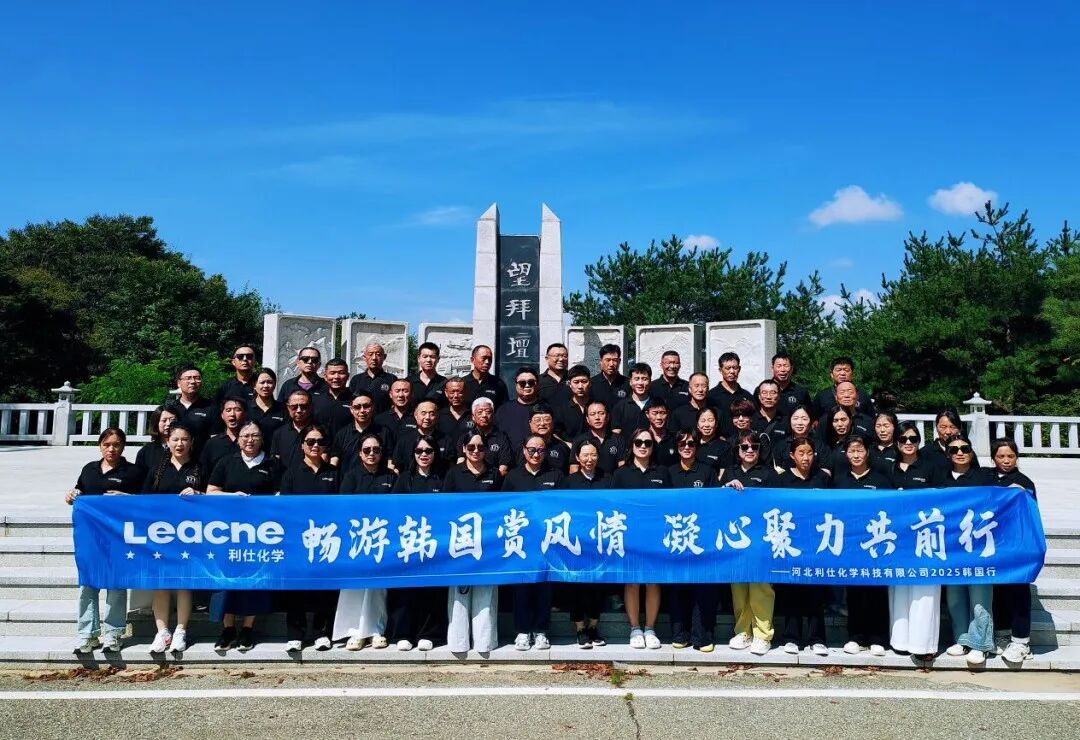 跨越山海，文化同心 | 海外团建书写高质量发展新注脚